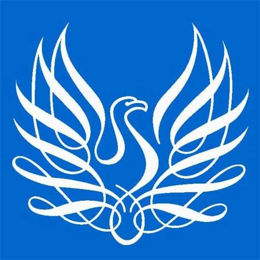 Serious Games Institute